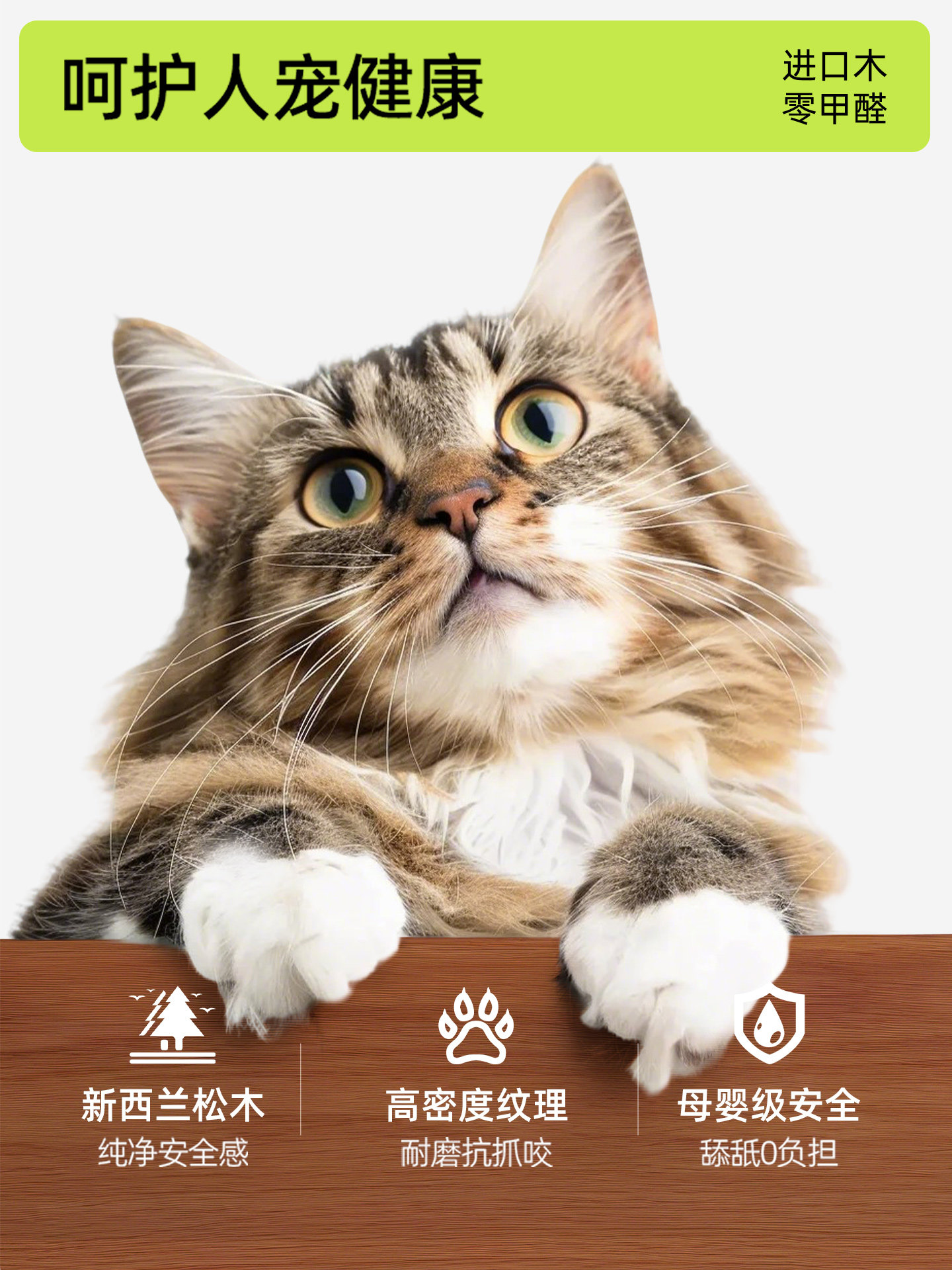First color medieval style cat - Pet Supplies First recension och pris