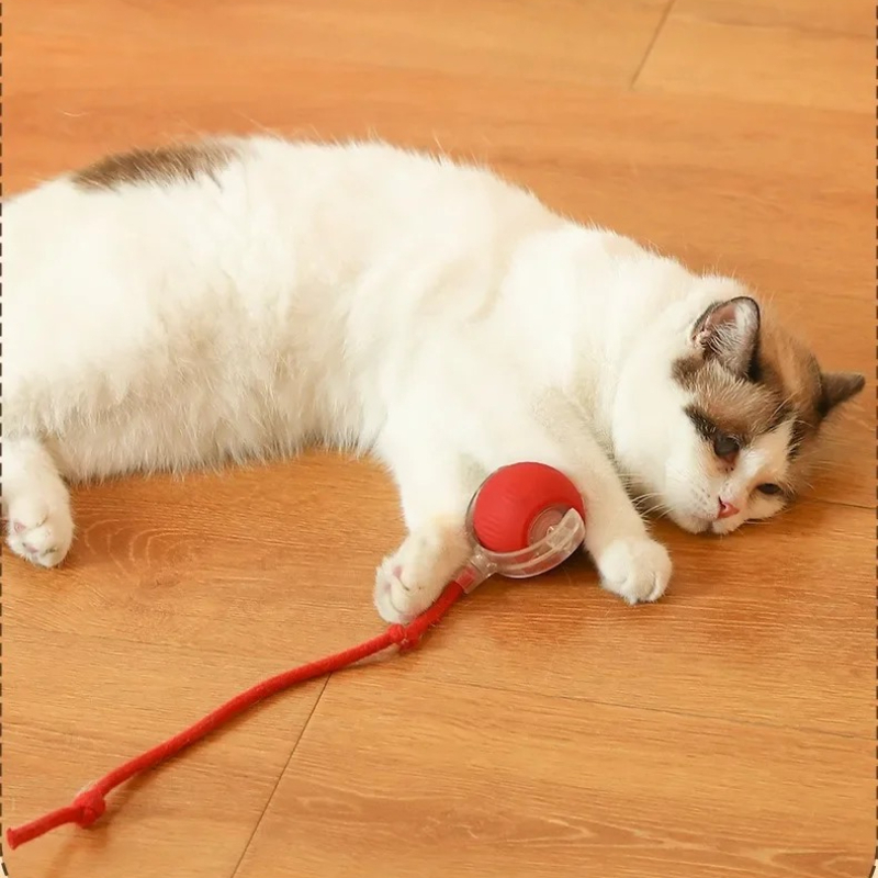 HOT Smart Cat Toys Automatic R - Pet Supplies First recension och pris