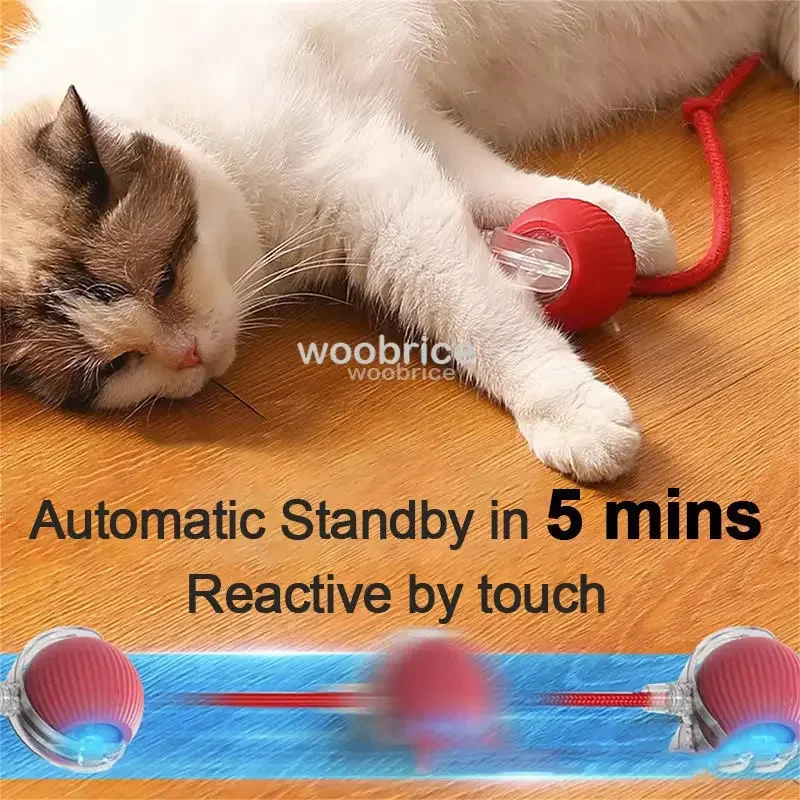 HOT Smart Cat Toys Automatic R - Pet Supplies First recension och pris