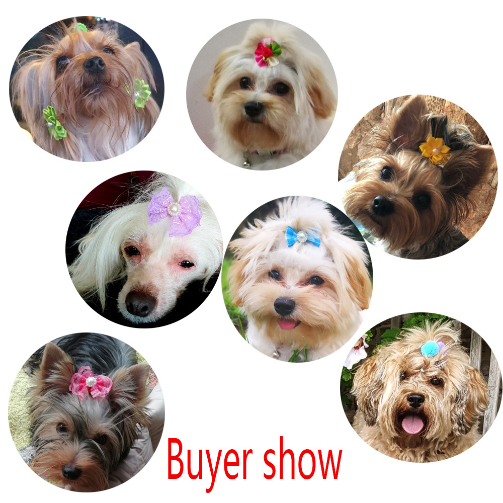 20pcs/lot Pet Dog Cat Hair Bow - Dog Bandana Scarf recension och pris