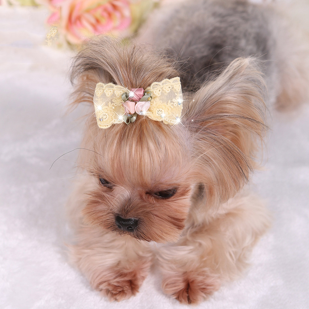 1PC Bling Rhinestone Luxury Pe - Dog Bandana Scarf recension och pris