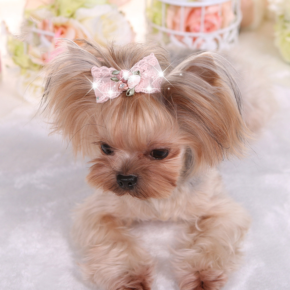 1PC Bling Rhinestone Luxury Pe - Dog Bandana Scarf recension och pris