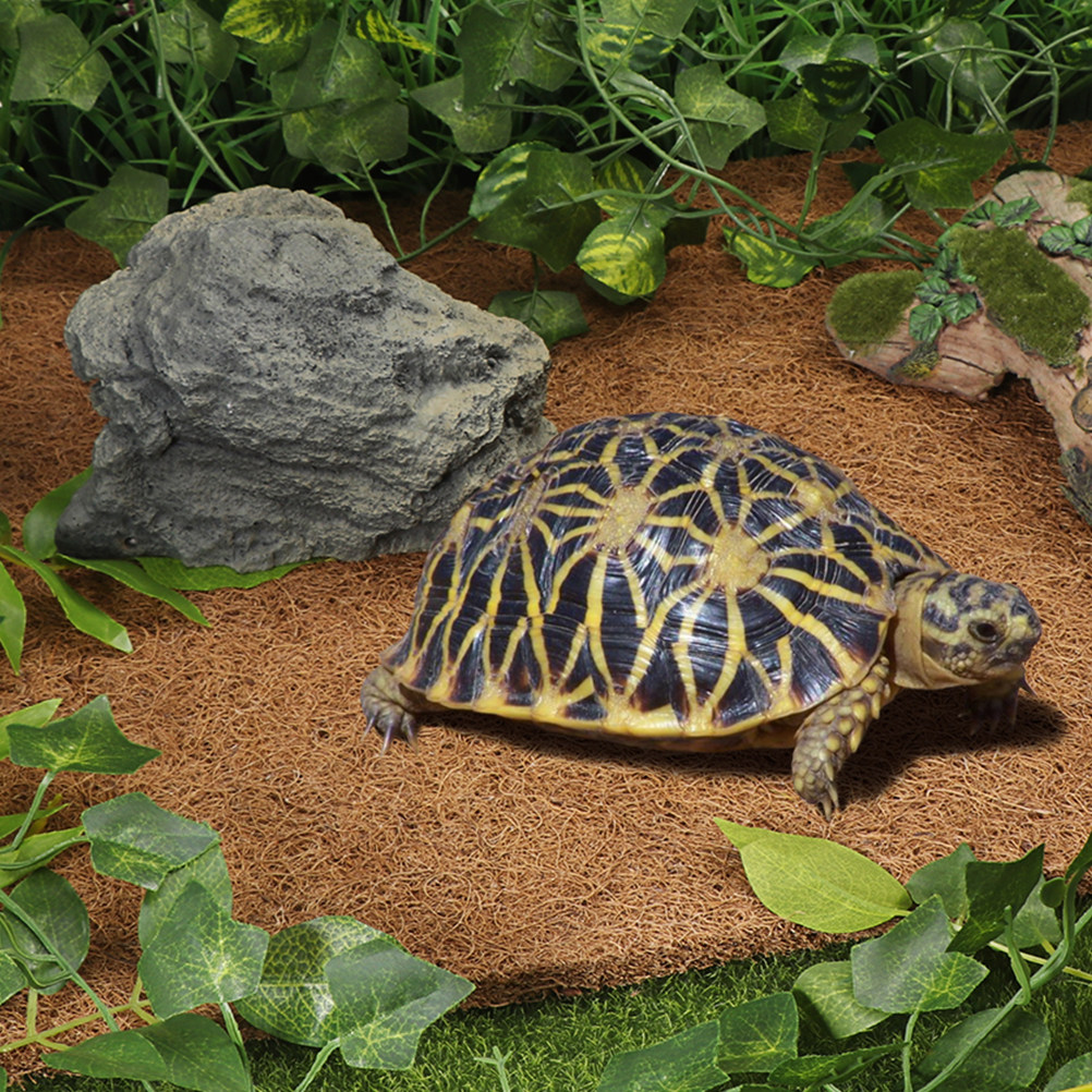 Coconut Substrate for Reptile  - Cat Litter Mat recension och pris