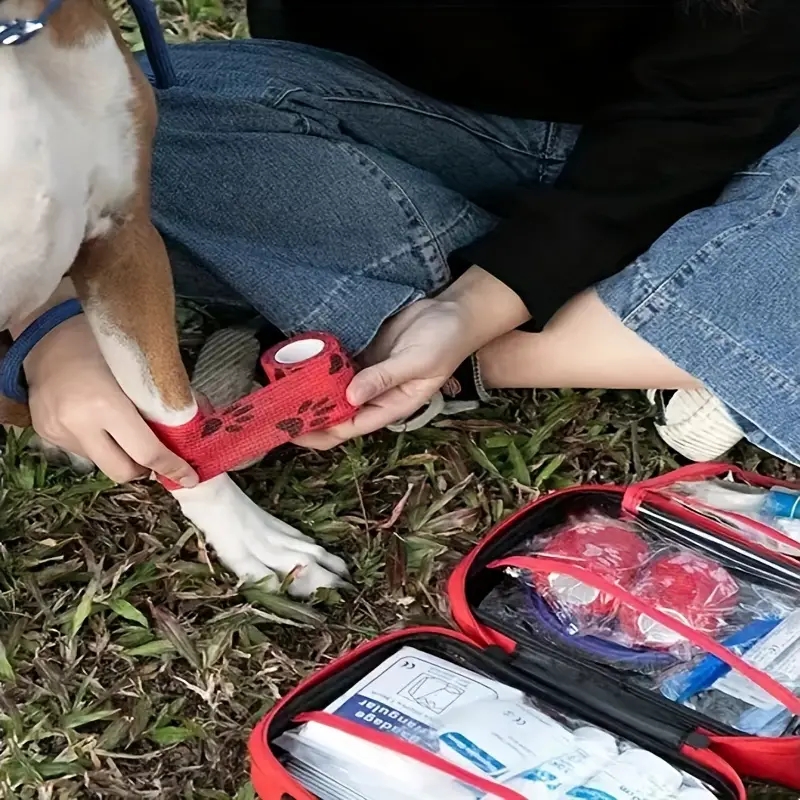 Compact pet First Aid kit for  - Pet Supplies First recension och pris