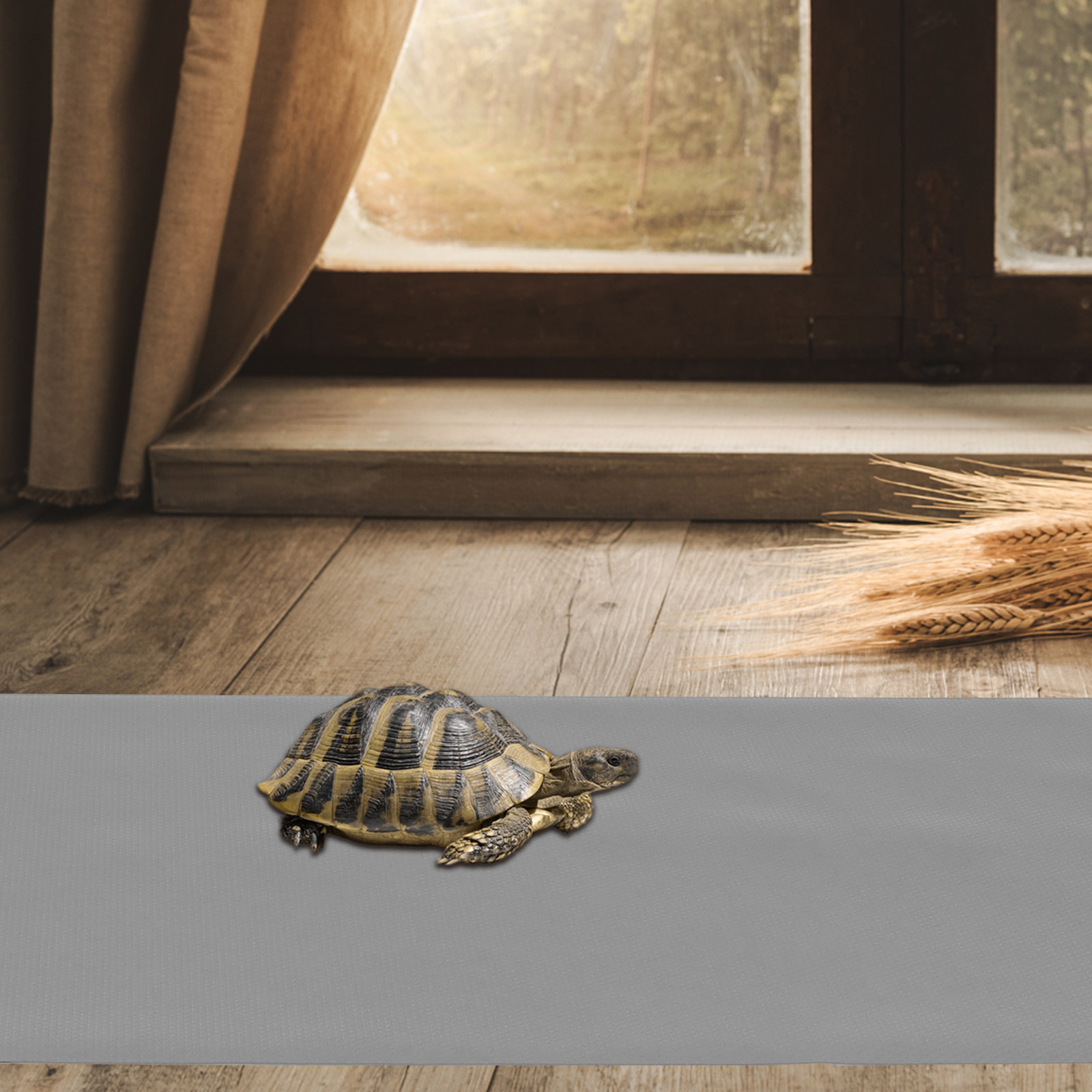1Sheet Eva Reptile Cage Liner  - Cat Litter Mat recension och pris