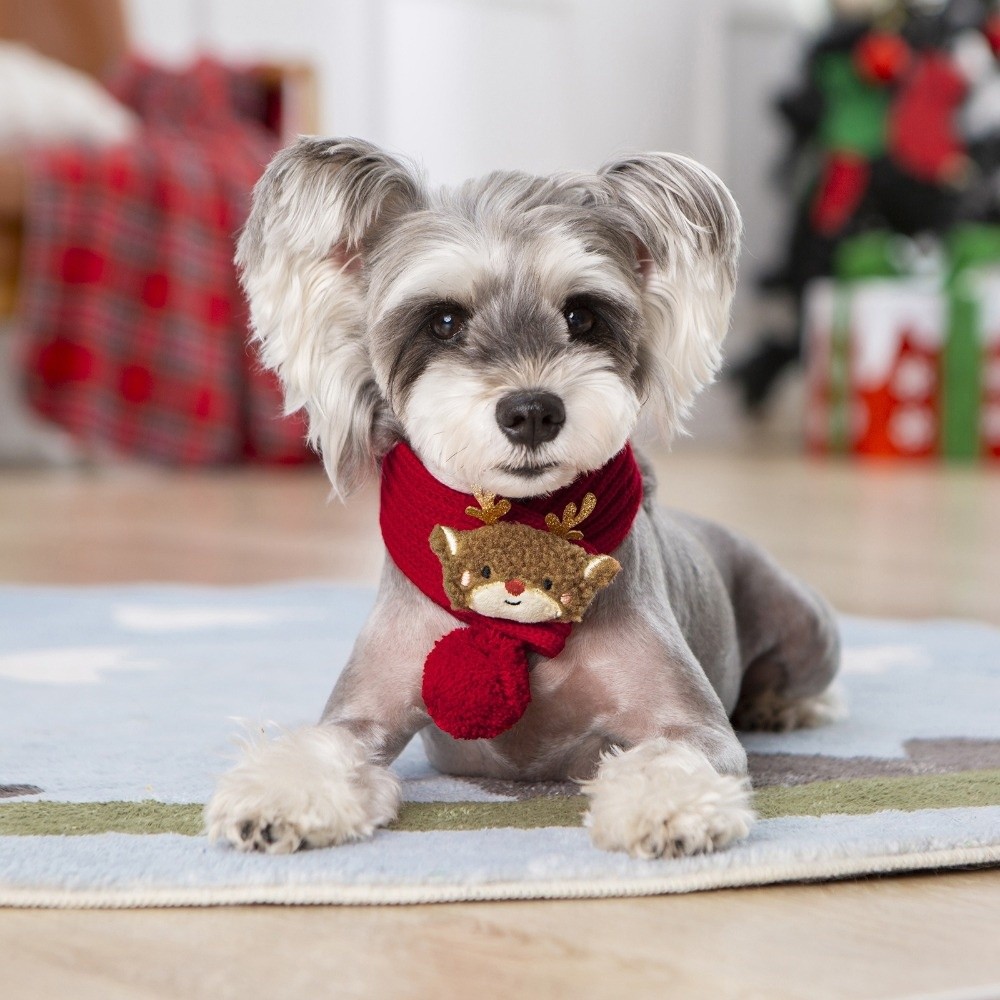 Christmas Dog Knitted Scarf Co - Dog Bandana Scarf recension och pris