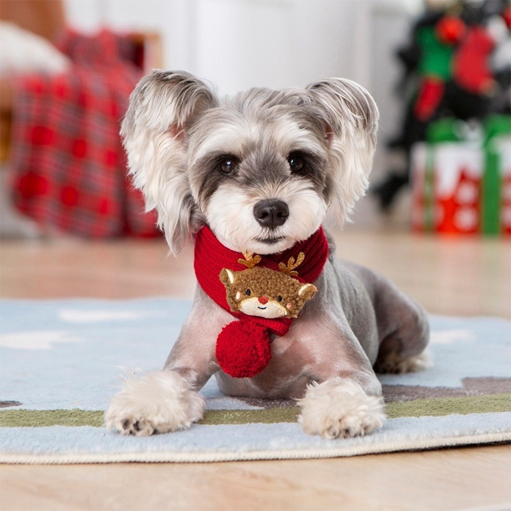 Christmas Dog Knitted Scarf Co - Dog Bandana Scarf recension och pris