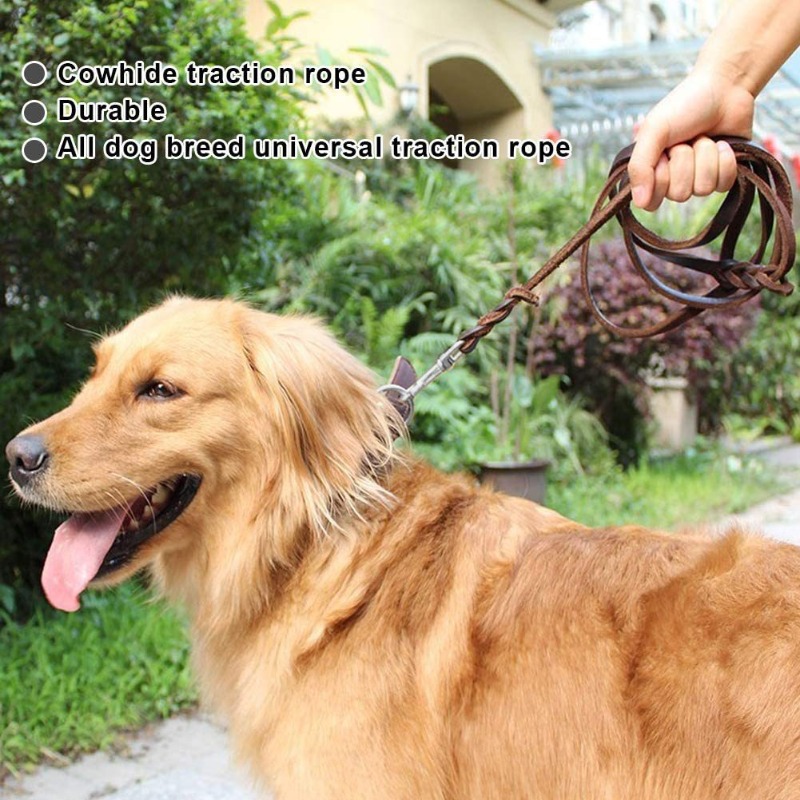 First layer cowhide leash Germ - Pet Supplies First recension och pris