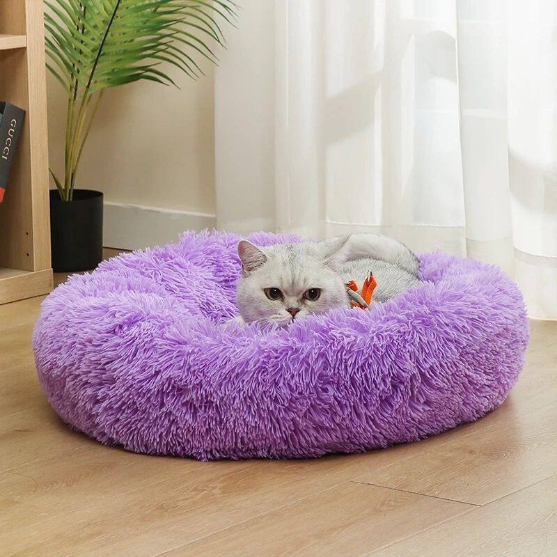 Party Cotton Dog Bed Fluffy Mo - Pet Supplies In Australia recension och pris