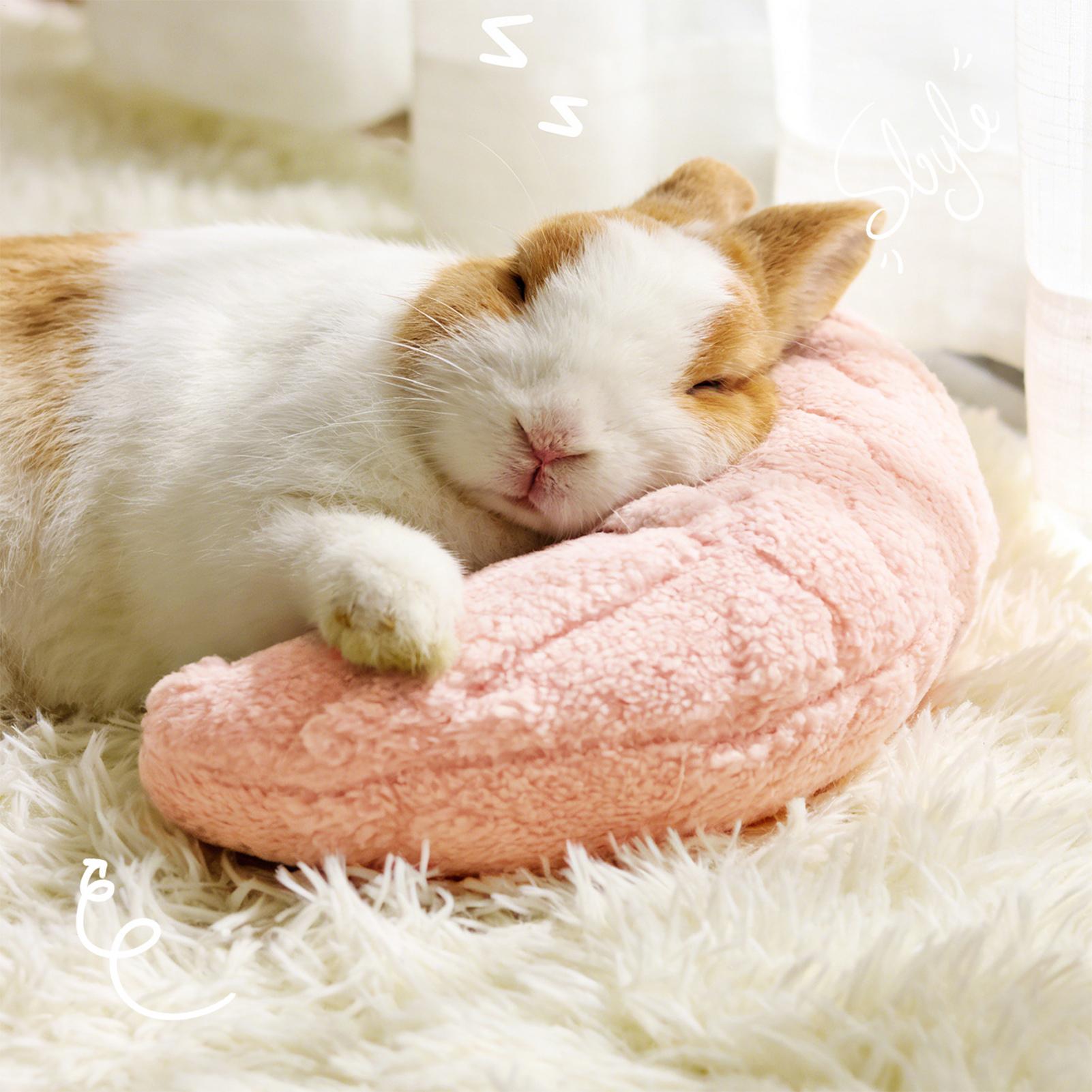Pet Little Pillow Fashion Neck - Pet Supplies Nz recension och pris
